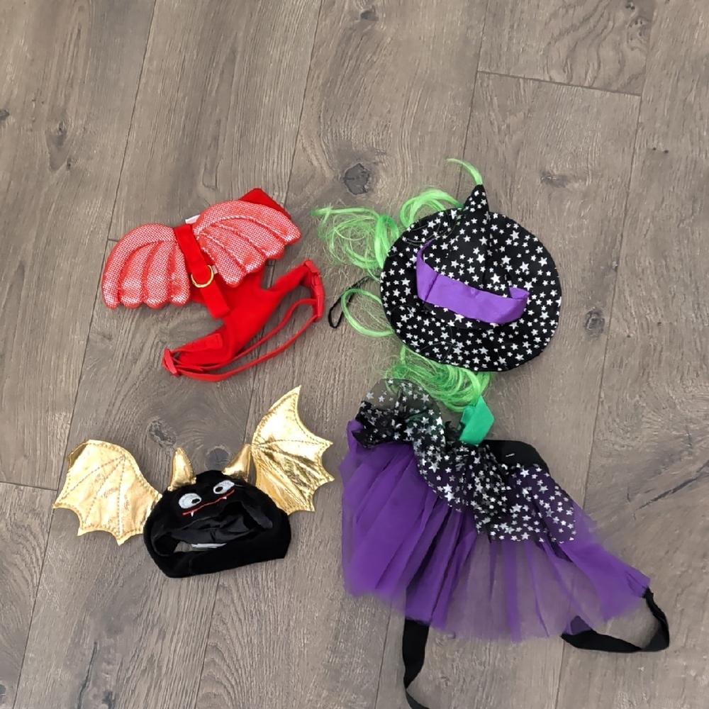 Cat Halloween Costume Set: Witch, Devil Bat Costume - Red, Black, Gold, Purple
